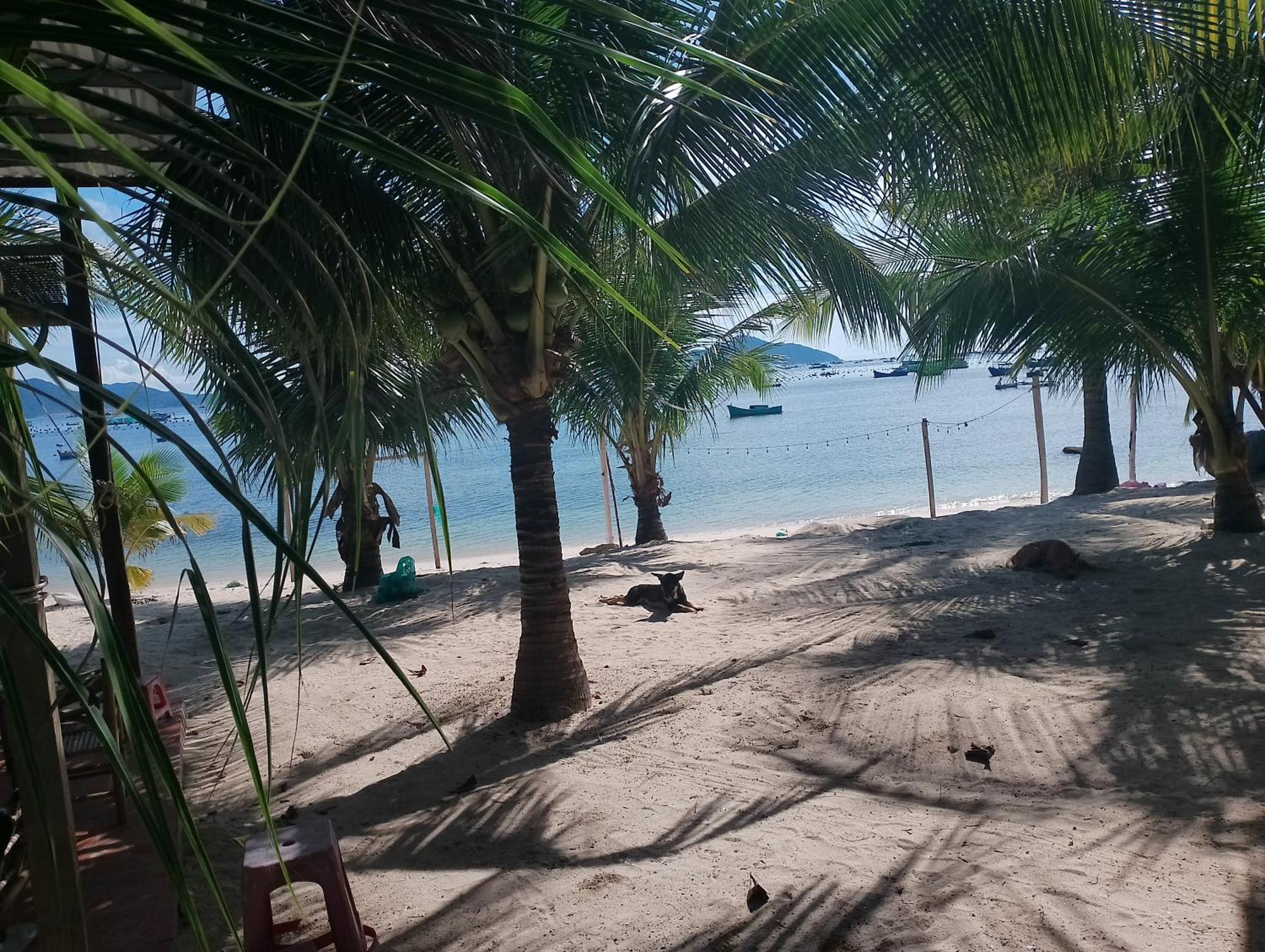 Hotel The Sunrise Anh Tu Cam Ranh Camera foto